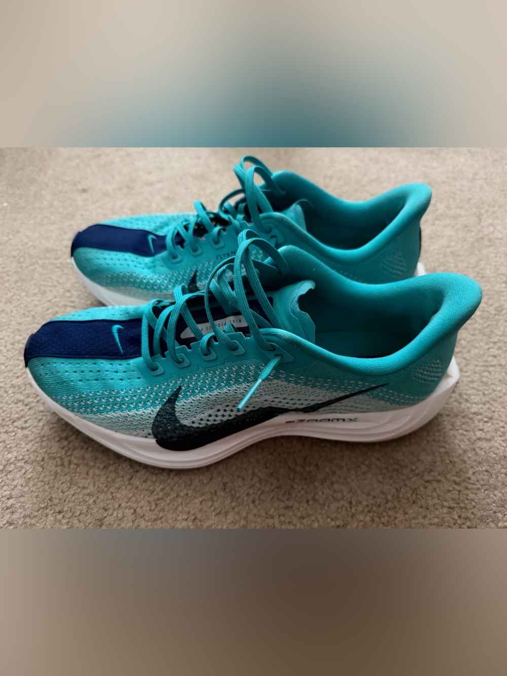 Nike Pegasus Plus